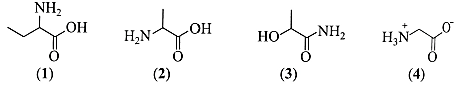 Trắc nghiệm Hóa học 12 Chân trời sáng tạo Bài 7 (có đáp án): Amino acid và peptide