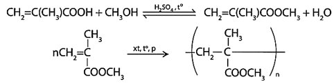 Trắc nghiệm Hóa học 12 Chân trời sáng tạo Bài 9 (có đáp án): Đại cương về polymer