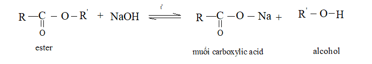 Lý thuyết Hóa học 12 Kết nối tri thức Bài 1: Ester - Lipid