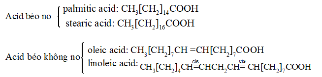 Lý thuyết Hóa học 12 Kết nối tri thức Bài 1: Ester - Lipid