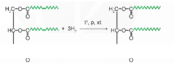 Lý thuyết Hóa học 12 Kết nối tri thức Bài 1: Ester - Lipid