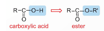 Lý thuyết Hóa học 12 Kết nối tri thức Bài 1: Ester - Lipid