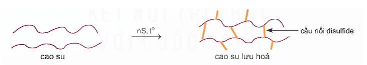 Lý thuyết Hóa học 12 Kết nối tri thức Bài 12: Đại cương về polymer