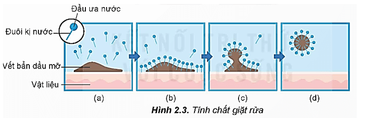 Lý thuyết Hóa học 12 Kết nối tri thức Bài 2: Xà phòng và chất giặt rửa