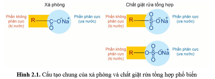 Lý thuyết Hóa học 12 Kết nối tri thức Bài 2: Xà phòng và chất giặt rửa