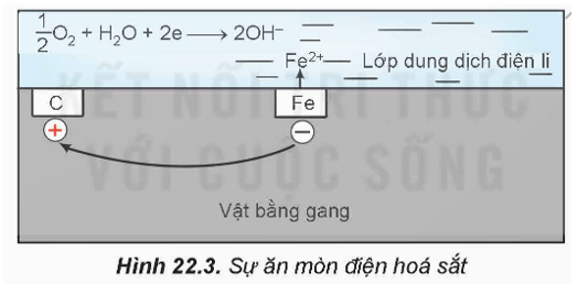 Lý thuyết Hóa học 12 Kết nối tri thức Bài 22: Sự ăn mòn kim loại