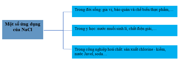 Lý thuyết Hóa học 12 Kết nối tri thức Bài 24: Nguyên tố nhóm IA