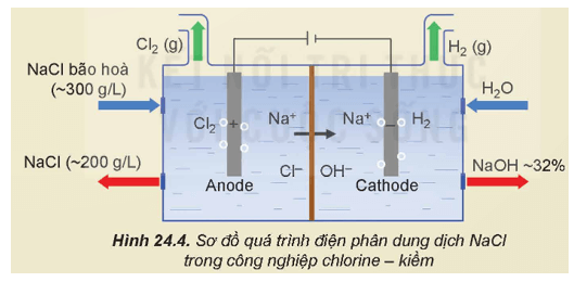 Lý thuyết Hóa học 12 Kết nối tri thức Bài 24: Nguyên tố nhóm IA