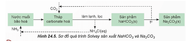 Lý thuyết Hóa học 12 Kết nối tri thức Bài 24: Nguyên tố nhóm IA