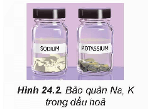 Lý thuyết Hóa học 12 Kết nối tri thức Bài 24: Nguyên tố nhóm IA