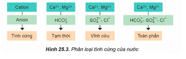 Lý thuyết Hóa học 12 Kết nối tri thức Bài 25: Nguyên tố nhóm IIA