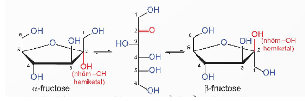 Lý thuyết Hóa học 12 Kết nối tri thức Bài 4: Giới thiệu về carbohydrate. Glucose và fructose