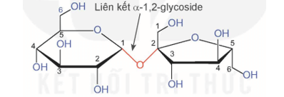 Lý thuyết Hóa học 12 Kết nối tri thức Bài 7: Ôn tập chương 2