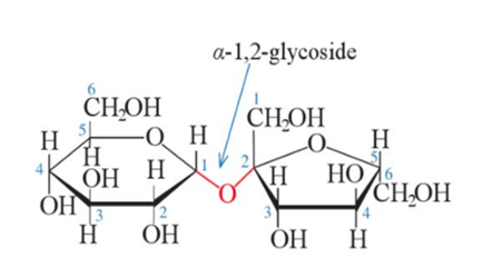 Trắc nghiệm Hóa học 12 Kết nối tri thức Bài 5 (có đáp án): Saccharose và maltose (ảnh 1)