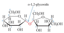 Trắc nghiệm Hóa học 12 Kết nối tri thức Bài 5 (có đáp án): Saccharose và maltose