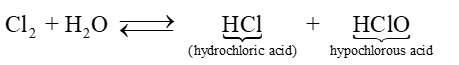 Chuyên đề Nguyên tố nhóm VIIA – nhóm Halogen lớp 10