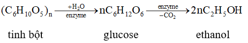 Bài tập điều chế ethanol (cách giải + bài tập)