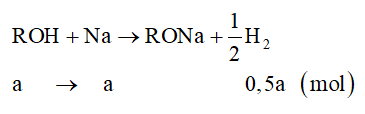 Bài tập về phản ứng của alcohol với kim loại kiềm (cách giải + bài tập)
