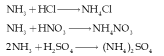 Ammonia muối ammonium lớp 11