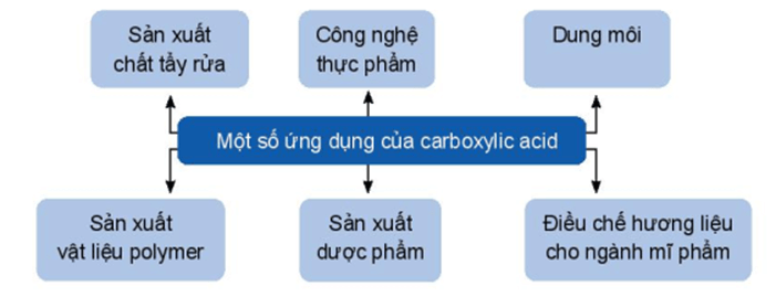 Carboxylic acid lớp 11 (Chuyên đề dạy thêm Hóa 11)