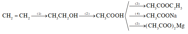 Carboxylic acid lớp 11 (Chuyên đề dạy thêm Hóa 11)