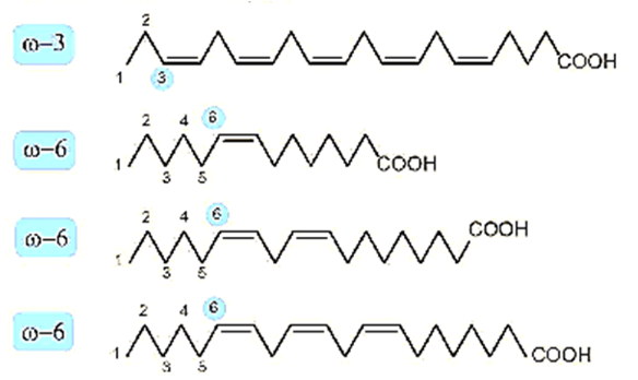 Acid béo không no là gì (chi tiết nhất) (ảnh 3)