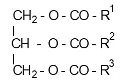 Acid béo no là gì (chi tiết nhất) (ảnh 2)