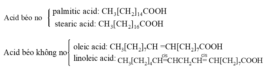 Acid béo omega-3 là gì (chi tiết nhất) (ảnh 1)