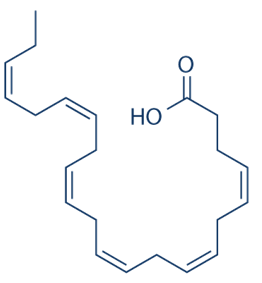 Acid béo omega-3 là gì (chi tiết nhất) (ảnh 3)