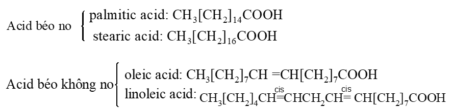 Acid béo omega-6 là gì (chi tiết nhất) (ảnh 1)