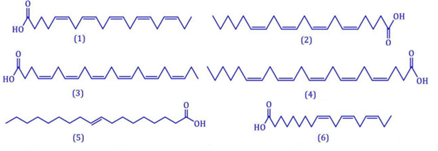 Acid béo omega-6 là gì (chi tiết nhất) (ảnh 3)