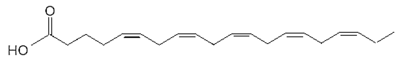 Acid béo omega-6 là gì (chi tiết nhất) (ảnh 4)