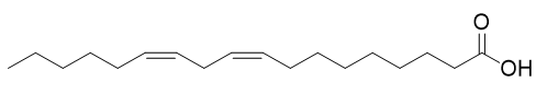 Acid béo omega-6 là gì (chi tiết nhất) (ảnh 5)