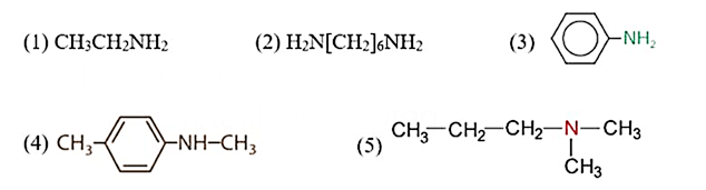 Alkylamine là gì (chi tiết nhất)
