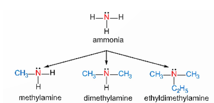 Amine đơn chức là gì (chi tiết nhất) (ảnh 1)