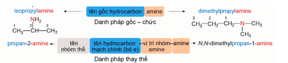 Amine đơn chức là gì (chi tiết nhất) (ảnh 3)