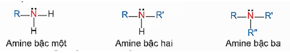 Amine là gì (chi tiết nhất) (ảnh 2)