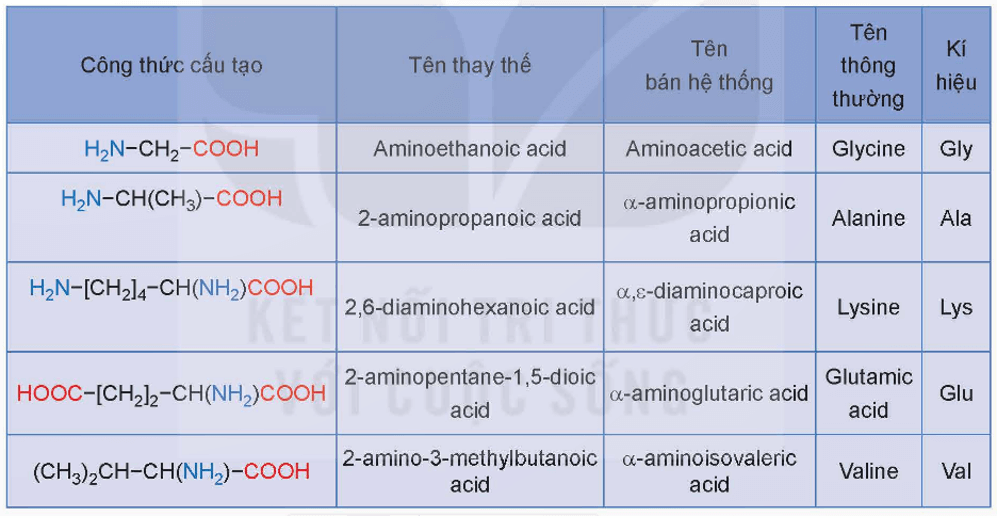 Amino acid không thiết yếu là gì (chi tiết nhất) (ảnh 1)