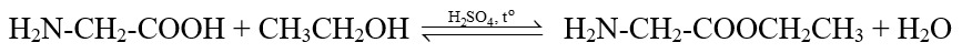 Amino acid không thiết yếu là gì (chi tiết nhất) (ảnh 3)