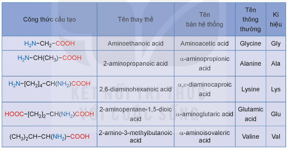 Amino acid là gì (chi tiết nhất) (ảnh 1)