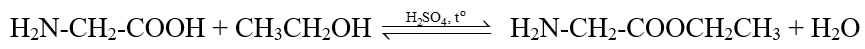 Amino acid là gì (chi tiết nhất) (ảnh 3)