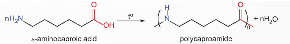 Amino acid là gì (chi tiết nhất) (ảnh 4)