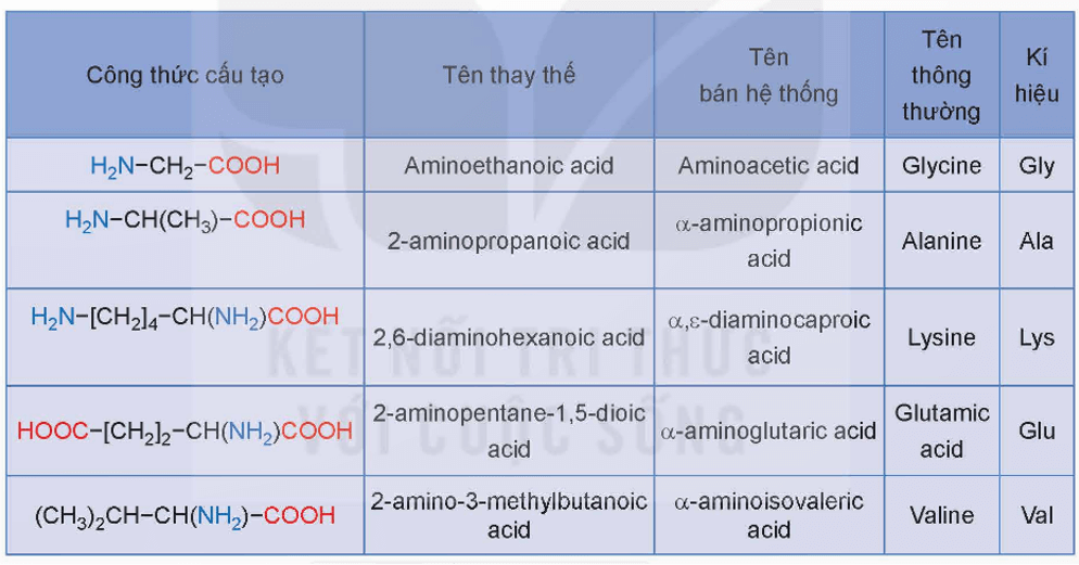 Amino acid thiết yếu là gì (chi tiết nhất) (ảnh 1)