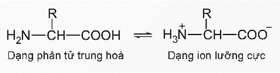 Amino acid thiết yếu là gì (chi tiết nhất) (ảnh 2)