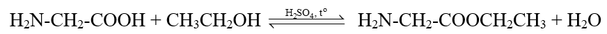 Amino acid thiết yếu là gì (chi tiết nhất) (ảnh 3)