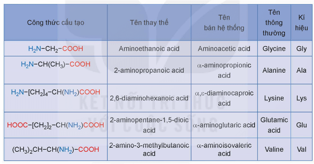 Amino acid tiêu chuẩn là gì (chi tiết nhất) (ảnh 1)