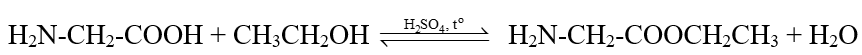 Amino acid tiêu chuẩn là gì (chi tiết nhất) (ảnh 3)
