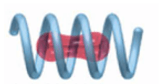 Amylose là gì (chi tiết nhất) (ảnh 3)