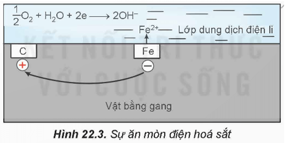 Ăn mòn điện hóa là gì (chi tiết nhất)