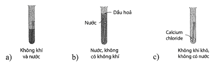 Ăn mòn hóa học là gì (chi tiết nhất)